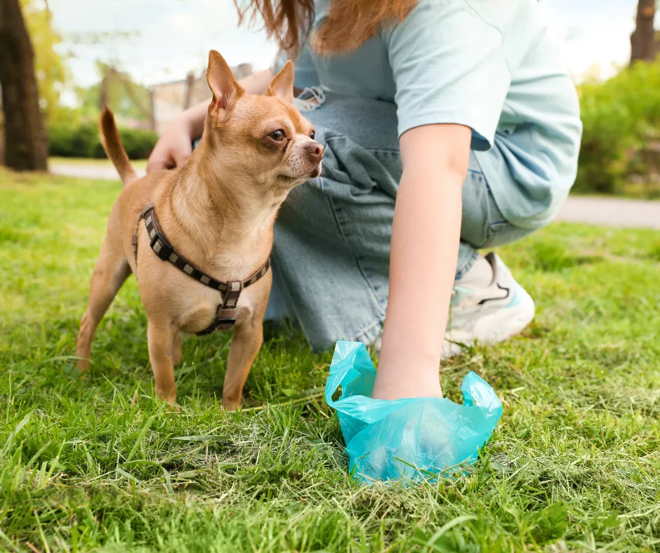 weekly pet waste removal