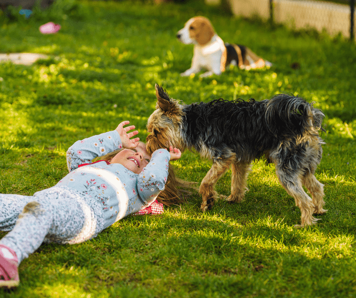 Dog Poop Pick Up Services: Why Every Busy Dog Owner Needs One